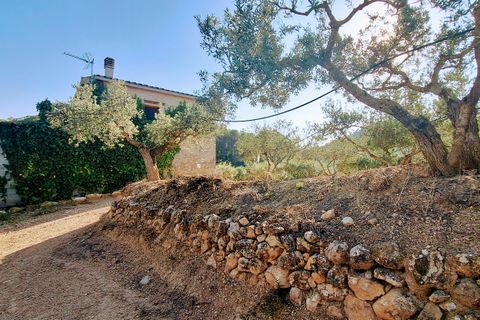 Finca i Rasquera, Tarragona, Rasquera - € 168.000 | Ref: CC799 - foto 1